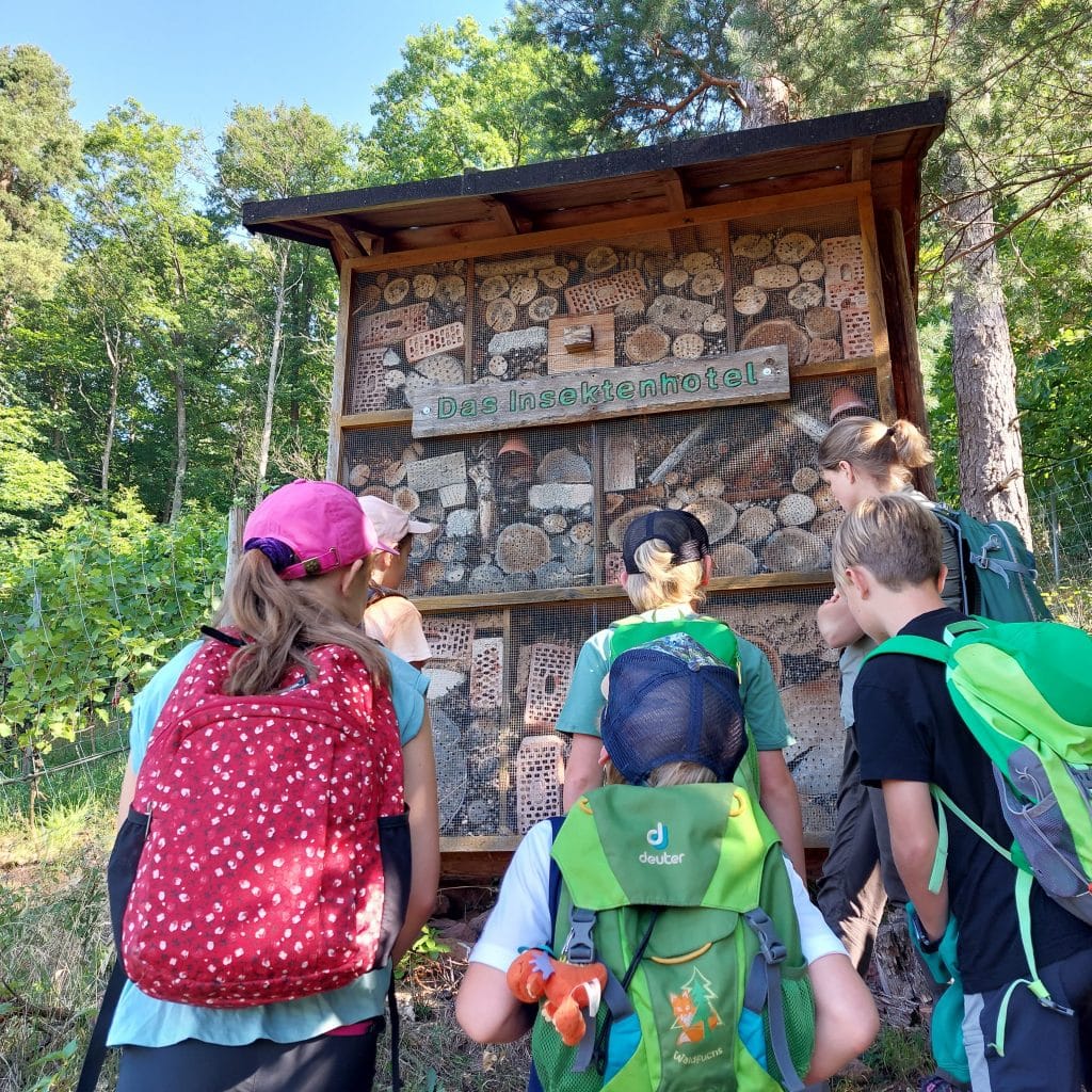 Wandern mit der Familie auf dem Waldlehr- und Erlebnispfad in Bürgstadt