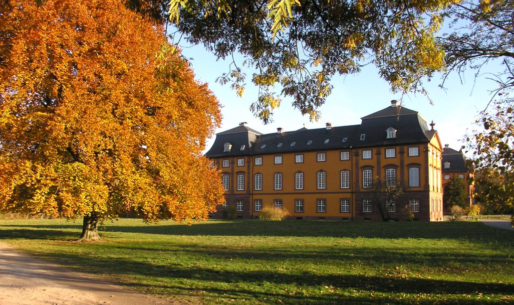 Schloss Löwenstein von Westen her gesehen mit herbstlichem Baum im Vordergrund