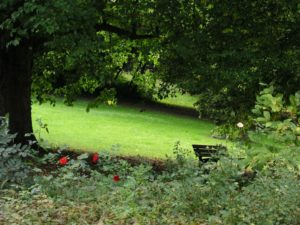 Idyllisches Bild mit Parkbank im Stadtpark Miltenberg