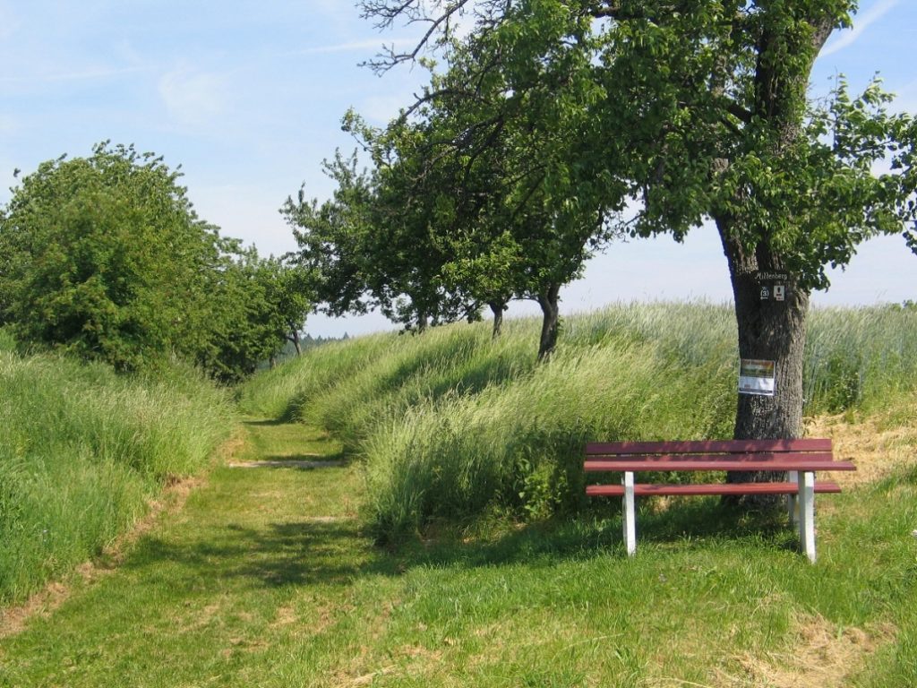 Ruhebank an den Wiesen und Feldern bei Wenschdorf