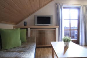 Ferienwohnung Neuberger in Bürgstadt - Fernseher im Wohnzimmer