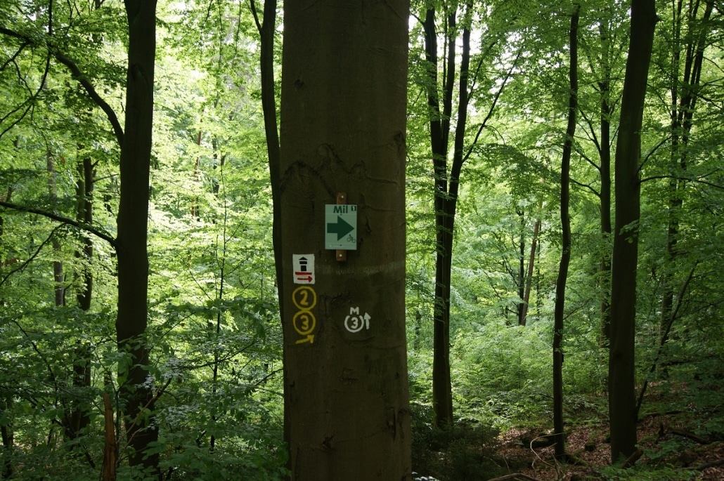 Wandermarkierungen an einem Baum an Limeswanderweg und M3