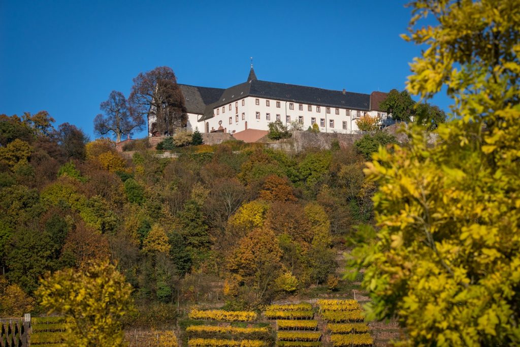 Kloster Engelberg in Großheubach vom Tal aus gesehen