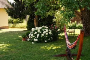 Garten mit Hängematte der Pension Ursula Arnold im Miltenberger Stadtteil Mainbullau