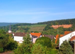 Ferienwohnung Fürst in Bürgstadt - Aussicht über die Mainhölle