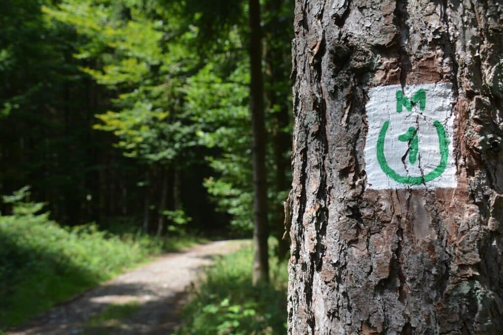 Wandermarkierung M1 an einem Baum im Wald bei Miltenberg