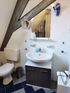 Ferienwohnung Hartnagel in Bürgstadt - das Badezimmer