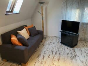 Wohnzimmer mit Sofa und Fernseher in der Ferienwohnung Hartnagel in Bürgstadt