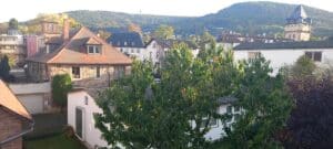 Ferienwohnung "Altstadtblick" in Miltenberg - Blick über die Dächer