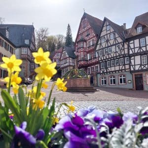 Blick auf den Marktplatz in Miltenberg mit seinem schönen Fachwerkensemble. Blumen sind im Vordergrund.