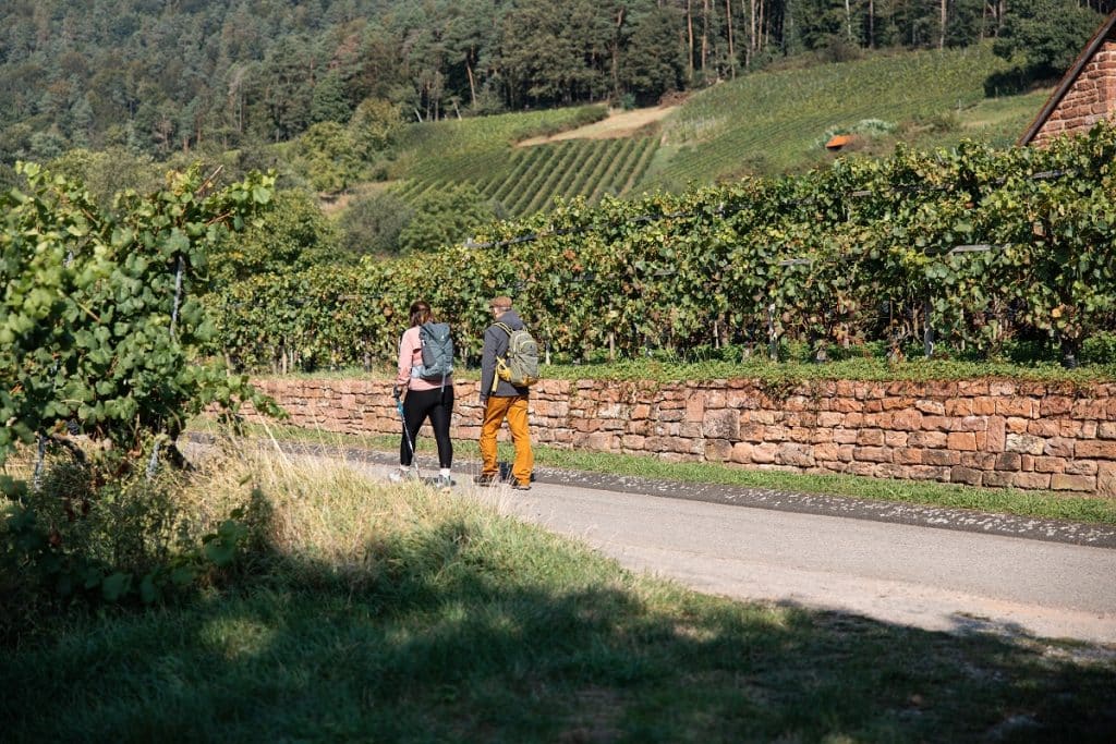 Ein Mann und eine Frau gehen nebeneinander in den Bürgstadter Weinbergen wandern.