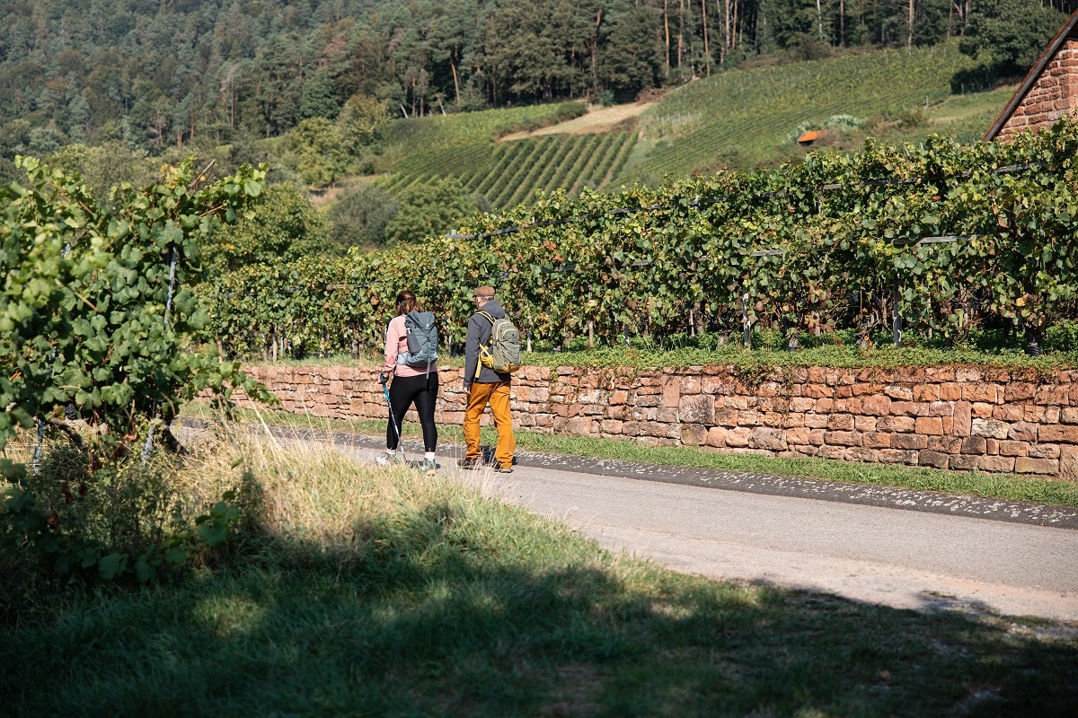Ein Mann und eine Frau gehen nebeneinander in den Bürgstadter Weinbergen wandern.