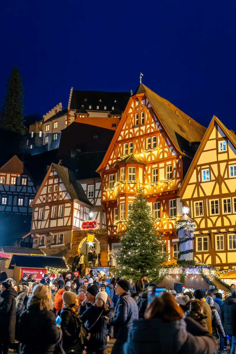 Miltenberger Weihnachtsmarkt Marktplatz © Felix Wöber