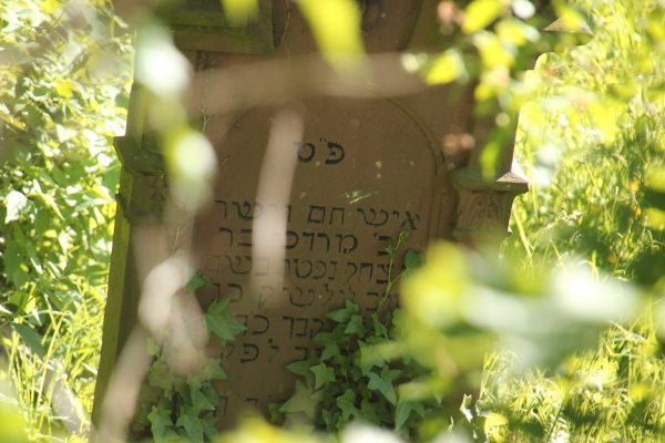 Grabstein auf dem Alten Jüdischen Friedhof in Miltenberg