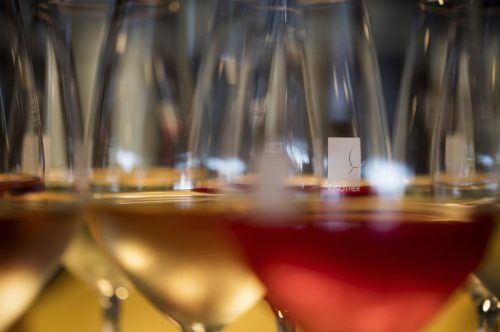 Mit verschiedenen Weinen gefüllte Gläser der Churfrankenvinothek in Bürgstadt