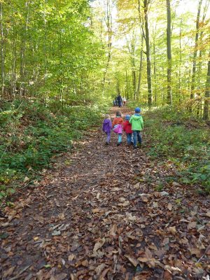 Wanderung mit Kindern auf dem Waldlehrpfad bei Bürgstadt