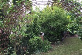 Nicht einsehbarer Garten mit torbogenartiger Rankhilfe bei der Ferienwohnung Breunig in Bürgstadt