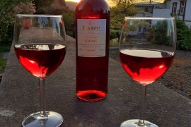 Ferienwohnung Wolfsbau in Miltenberg - Rotwein vor dem Haus bei Sonnenuntergang