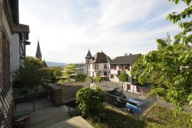 Ferienwohnung Wolfsbau in Miltenberg - Aussicht vom Haus aus