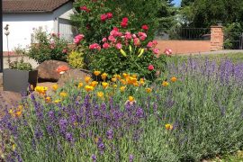 Ferienwohnung Angela Wolf in Miltenberg - Garten