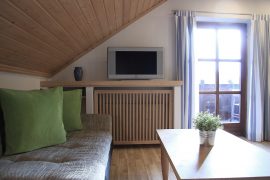 Ferienwohnung Neuberger in Bürgstadt - Fernseher im Wohnzimmer