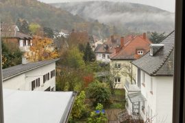 Aussicht aus einem der Fenster der Ferienwohnung Forsthaus in Miltenberg