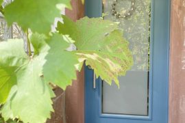 Eingangstür der Ferienwohnung Forsthaus in Miltenberg