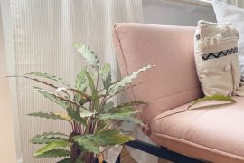 Zimmerpflanze vor dem Sofa in der Ferienwohnung Forsthaus in Miltenberg