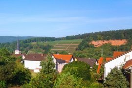 Ferienwohnung Fürst in Bürgstadt - Aussicht über die Mainhölle