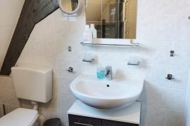 Ferienwohnung Hartnagel in Bürgstadt - das Badezimmer