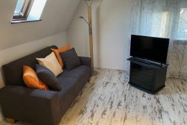 Wohnzimmer mit Sofa und Fernseher in der Ferienwohnung Hartnagel in Bürgstadt