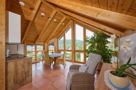 Blick aus dem Fenster im Essbereich der Ferienwohnung Jachtschütz in Miltenberg