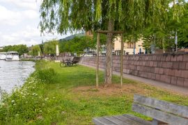 Mainpromenade in der Nähe der Ferienwohnung an der Mainpromenade in Miltenberg