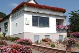 Ferienwohnungen Schieszl in Bürgstadt - Haus von außen