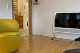 Fernseher und Loungesessel in der Ferienwohnung Liane Schneider in Miltenberg