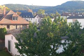 Ferienwohnung "Altstadtblick" in Miltenberg - Blick über die Dächer