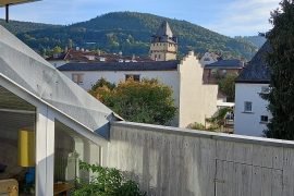 Ferienwohnung "Altstadtblick" in Miltenberg - Blick von der Dachterrasse zum Würzburger Tor