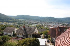 Ferienwohnung "Auf Schäfers Spuren" in Bürgstadt - Aussicht