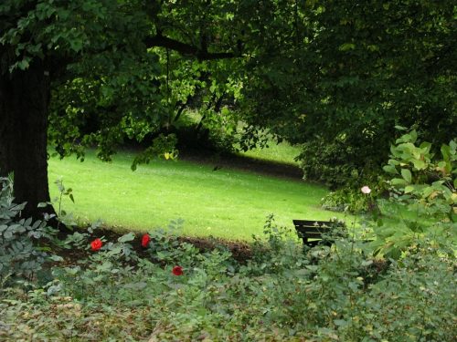 Idyllisches Bild mit Parkbank im Stadtpark Miltenberg