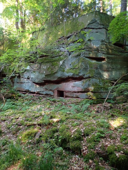 Steinbruchwand am Geotop des Jahres 2023 - Haagsaussicht