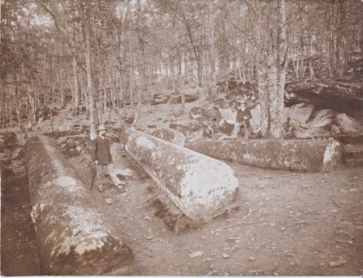 Die Heunesäulen im Wald bei Miltenberg um 1900
