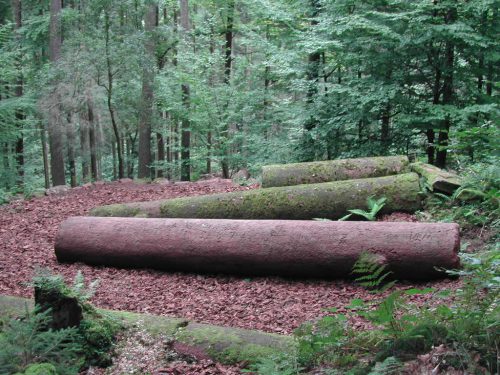Die rätselhaften Heunesäulen im Wald zwischen Miltenberg und Mainbullau