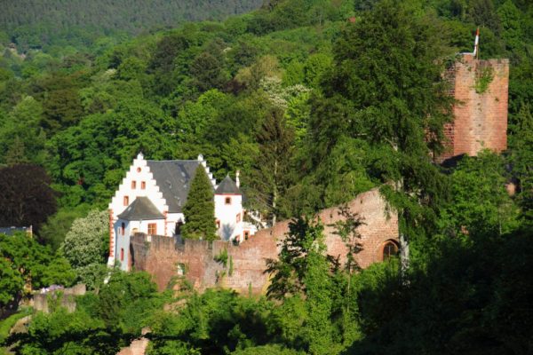 Burganlage der Mildenburg mit Bergfried von Westen her gesehen