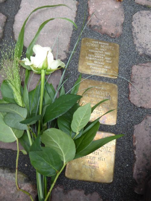 Drei frisch verlegte Stolpersteine mit Rosen bei der Stolpersteinverlegung 2016